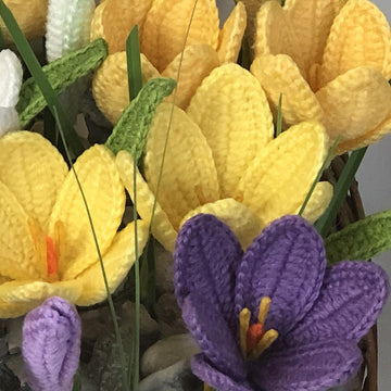 Crocus Crochet Pattern