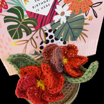 Pansies Flower Gift
