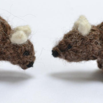 Australian Animals