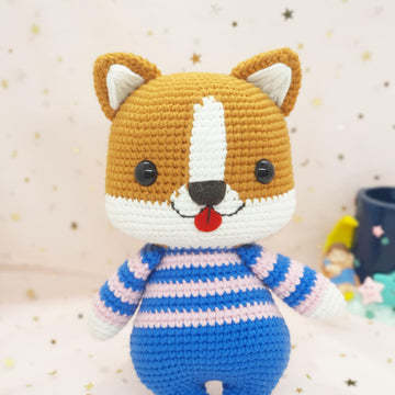 Chubby corgi