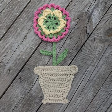 Flower in a Pot