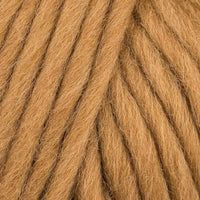 Camel (120)