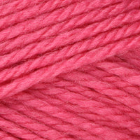 Hibiscus (8331)