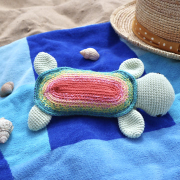 Turtle Sunglasses Case