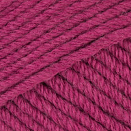Fuchsia (88)