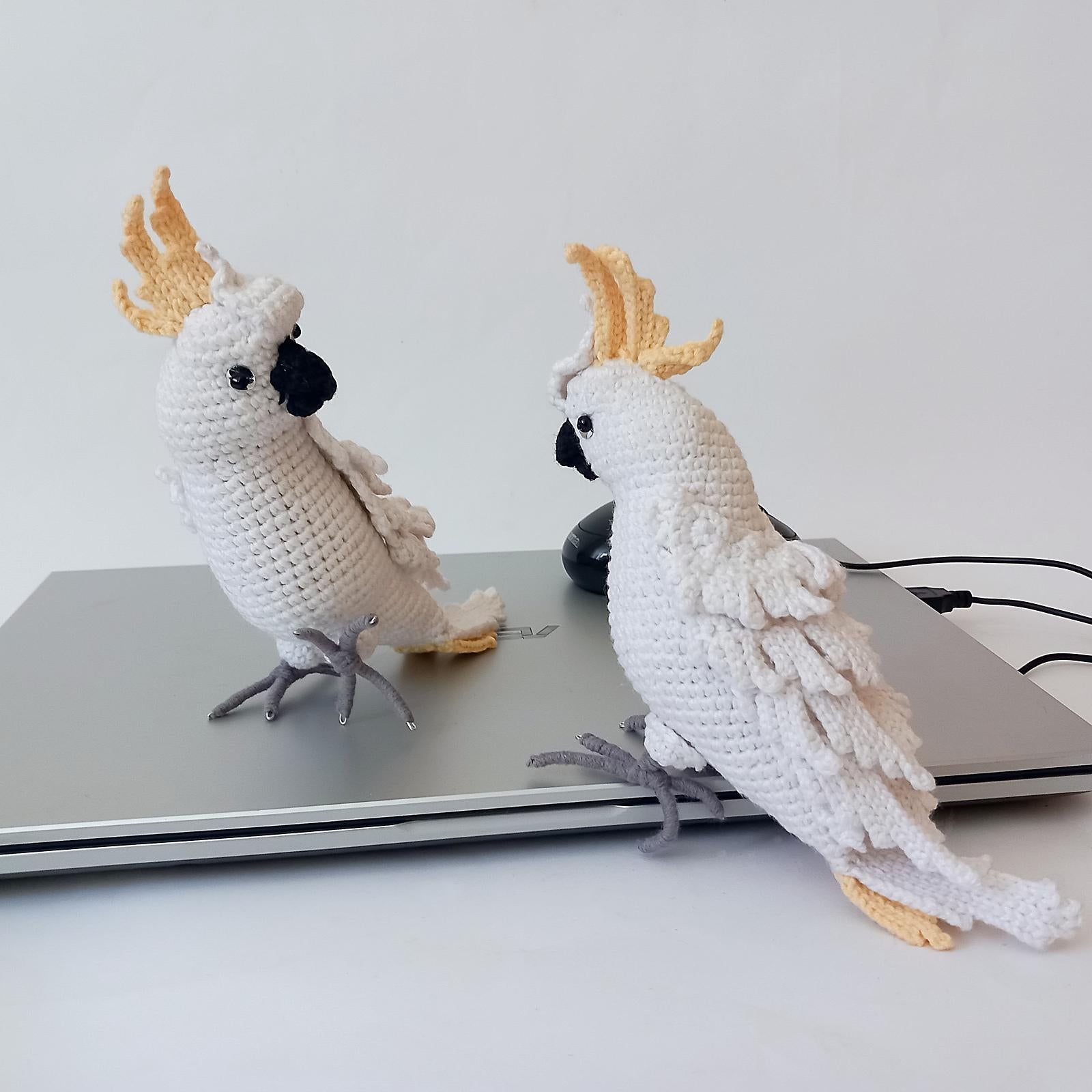 Cockatoo Parrot