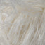 Natur (00002)
