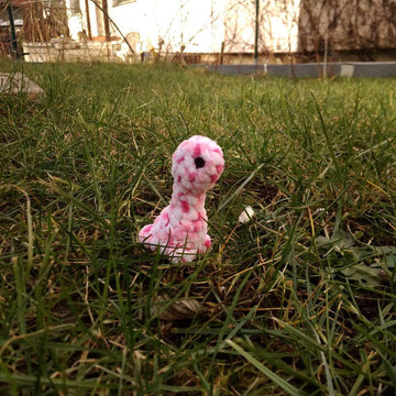 Little Brontosaurus