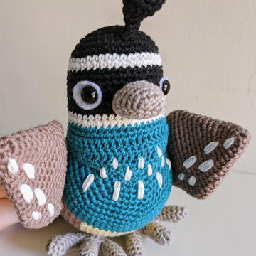 Colin the Quail Bird