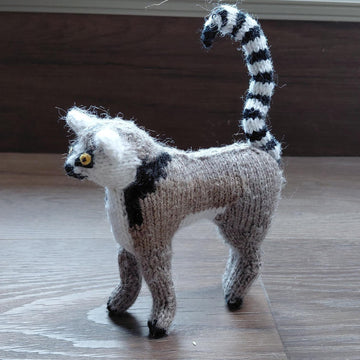 Ring-tailed lemur