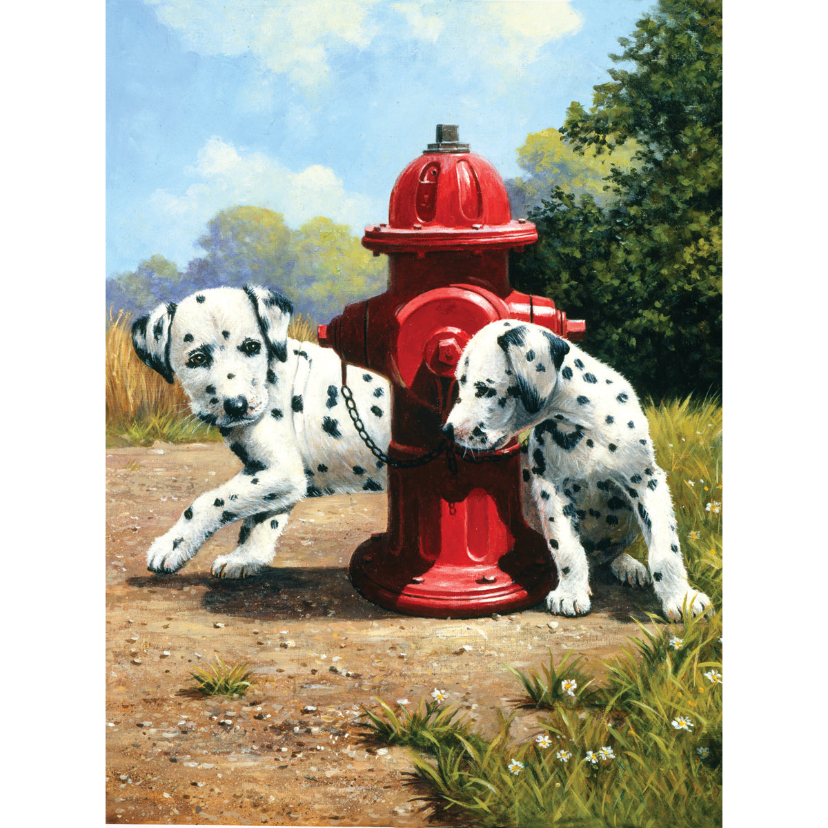 Royal Brush Junior Small Paint By Number Kit 8.75"X11.75" - Peek-A-Boo