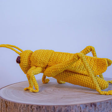 Grasshopper