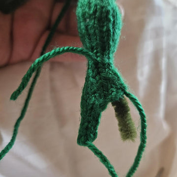 Teenage Mutant Ninja Turtle