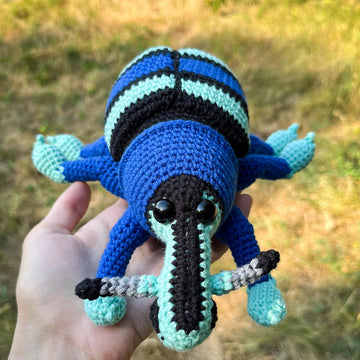 Blue Weevil