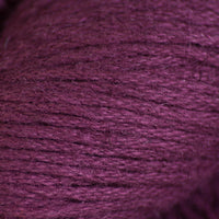 Coleus (637)