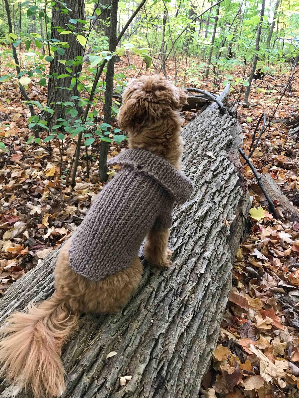 Dog Stretchy Cardigan