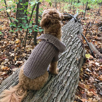 Dog Stretchy Cardigan