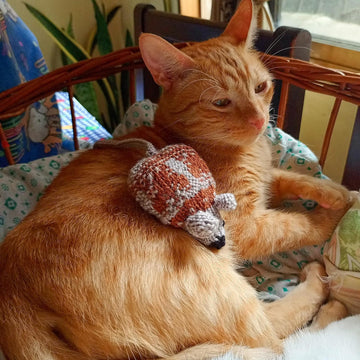 Mouse toys for cats