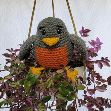 Rory the Robin