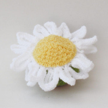 Daisy Chocolate Orange Cosy