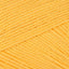 Sunflower (014)