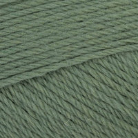 Parsley (5049)