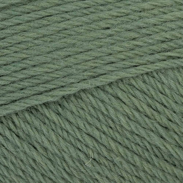 Parsley (5049)