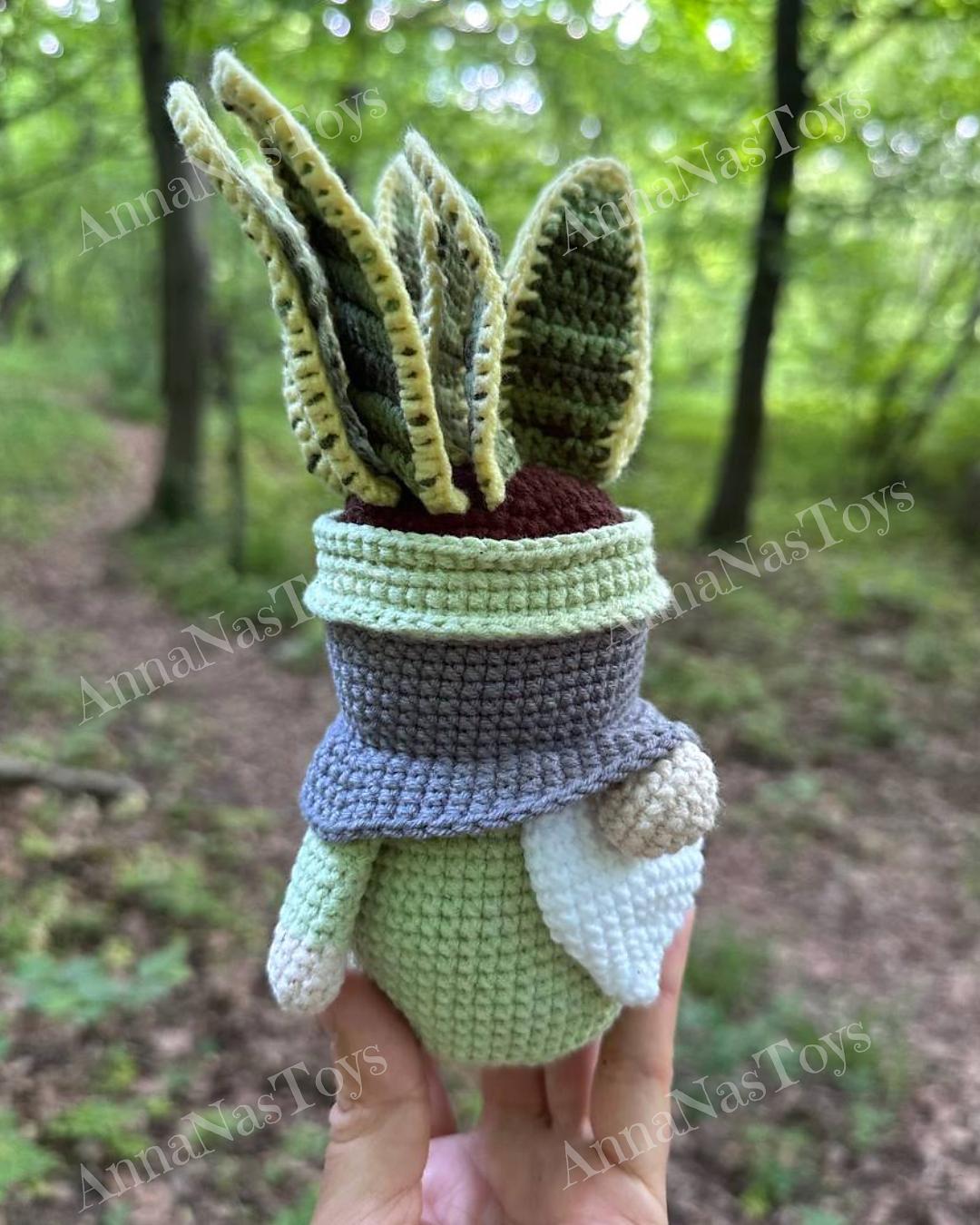 Gnome succulent Sansevieria-4