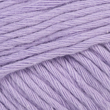 Viola (139)