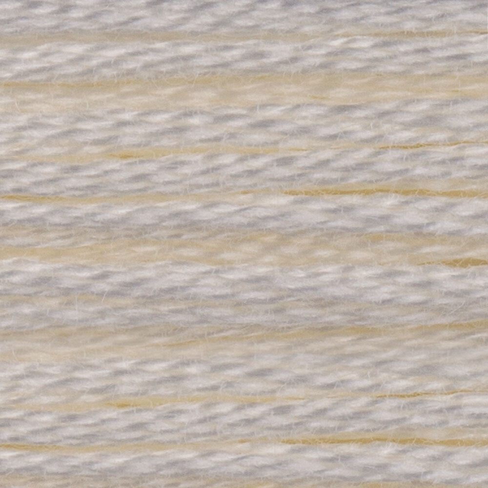 DMC 6 Strand Embroidery Floss - Neutrals