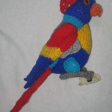 Toy Parrot – with pirate accessories