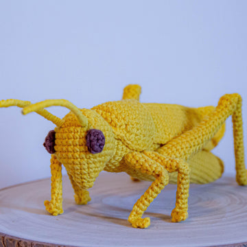Grasshopper