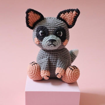 Buddy the Blue Heeler Puppy