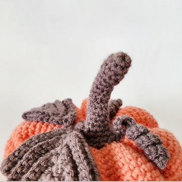 Medium Pumpkin