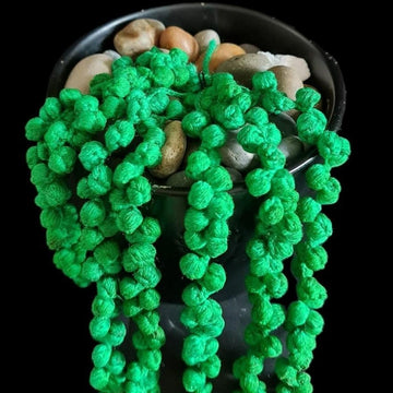 Faux String of Pearl's