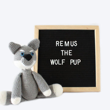 Remus the Wolf Pup