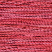 Begonia (2263)