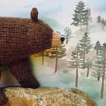 Smoky Mountain Bear