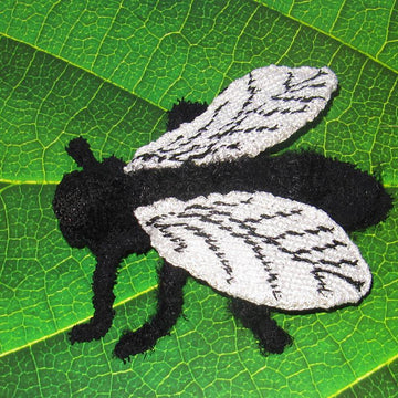 Not So Common House Fly