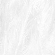 White (4200)