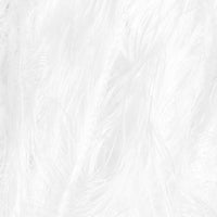 White (4200)