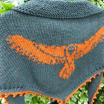 Eagle Shawlette
