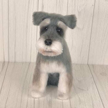 Mini Schnauzer
