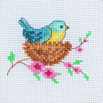 Bird in Nest
