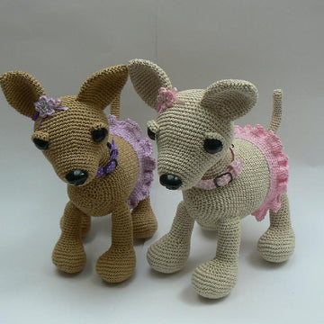 Chihuaua Ladies