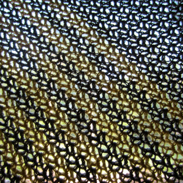 Lara's Wrap