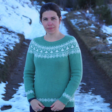 Arbolito Sweater