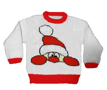 Christmas Gonk Santa Jumper #17