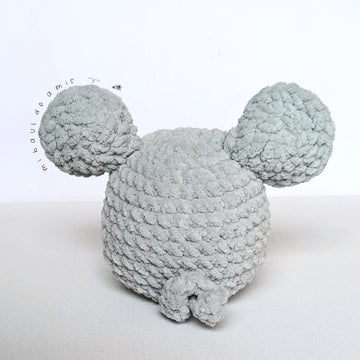 Coco the Mouse