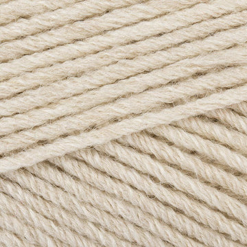 Paintbox Yarns Wool Blend Worsted 20 Ball Value Pack